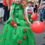 chereshnevo 2017