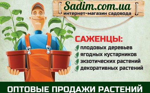 Садим - магазин садовода