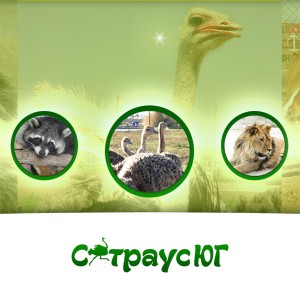 Зоопарк – чудова можливість порадувати дітей!