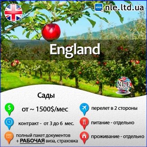 NLE: працюй, заробляй, англійську вивчай